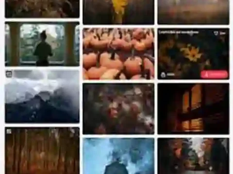 چک لیست ۱۰ مرحلهای طراحی سایت حرفهای چک لیست ۱۰ مرحلهای طراحی سایت حرفهای